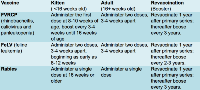 Do you know the feline vaccine protocol