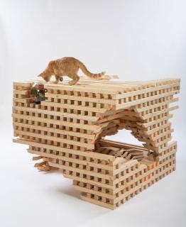 architects-for-animals-giving-shelter-for-fixnation-fundraising-1840704643