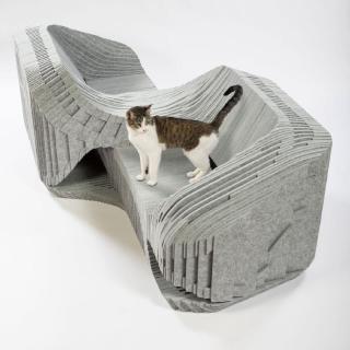architects-for-animals-giving-shelter-for-fixnation-fundraising